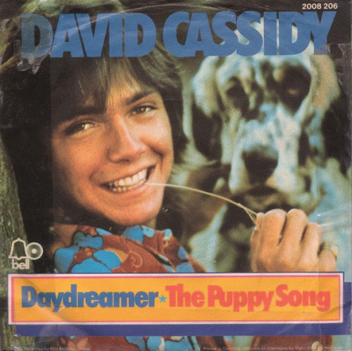 David Cassidy : Daydreamer (Single)